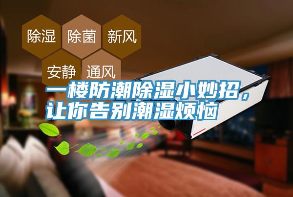 一樓防潮除濕小妙招，讓你告別潮濕煩惱
