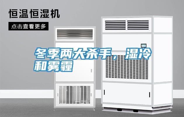 冬季兩大殺手，濕冷和霧霾