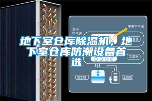 地下室倉庫草莓视频污污污污，地下室倉庫防潮設備首選