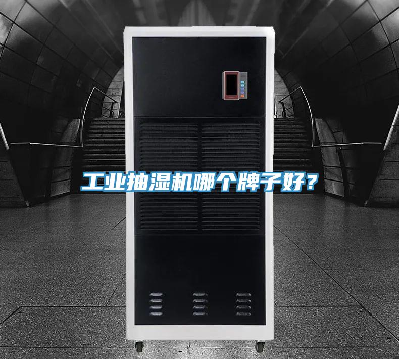 工業抽濕機哪個牌子好？
