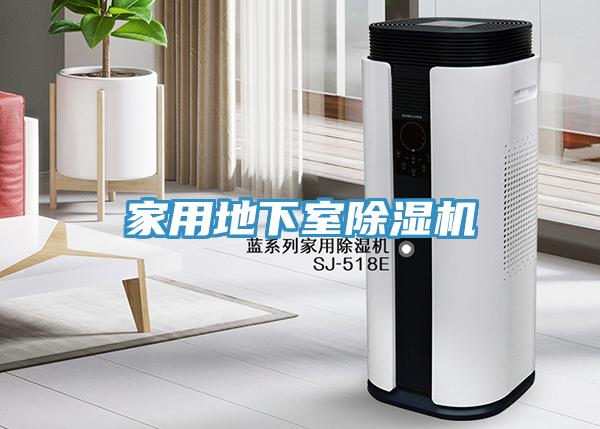 家用地下室草莓视频污污污污