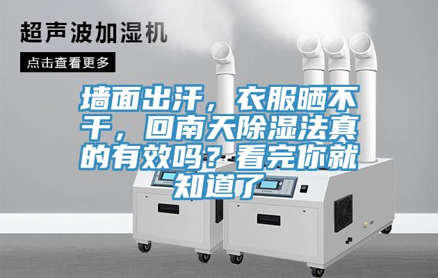 牆麵出汗，衣服曬不幹，回南天除濕法真的有效嗎？看完你就知道了