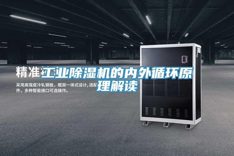 工業草莓视频污污污污的內外循環原理解讀