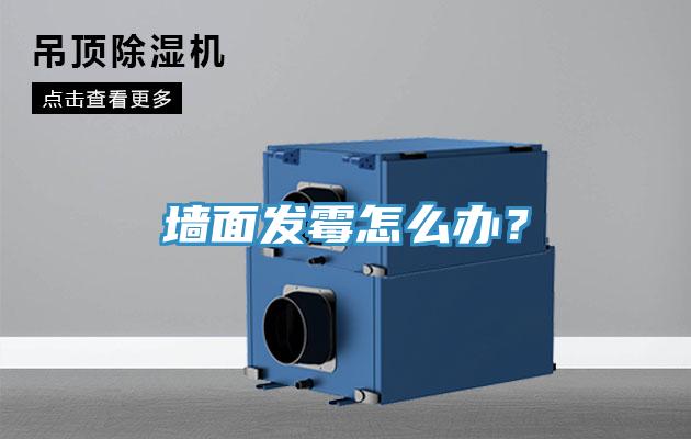 牆麵發黴怎麽辦？
