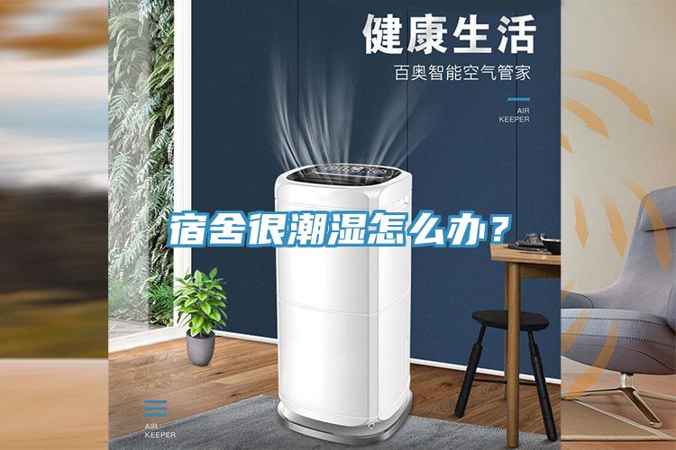 宿舍很潮濕怎麽辦？