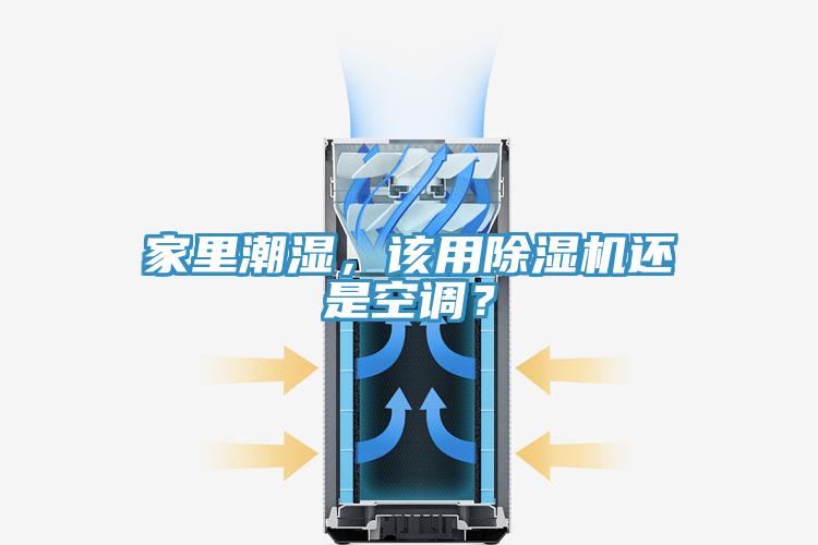 家裏潮濕，該用草莓视频污污污污還是空調？