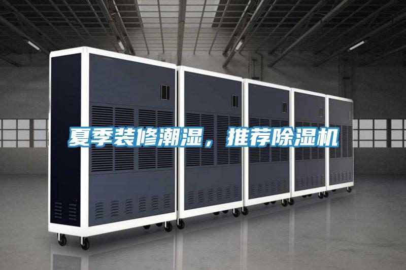 夏季裝修潮濕，推薦草莓视频污污污污