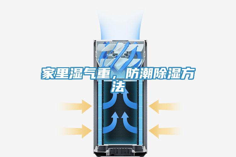 家裏濕氣重，防潮除濕方法