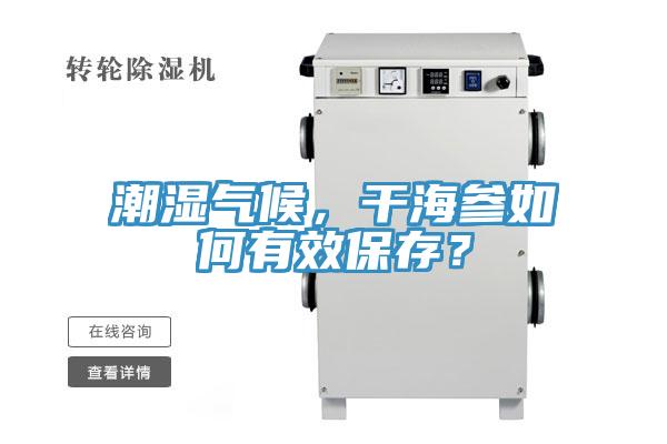 潮濕氣候，幹海參如何有效保存？