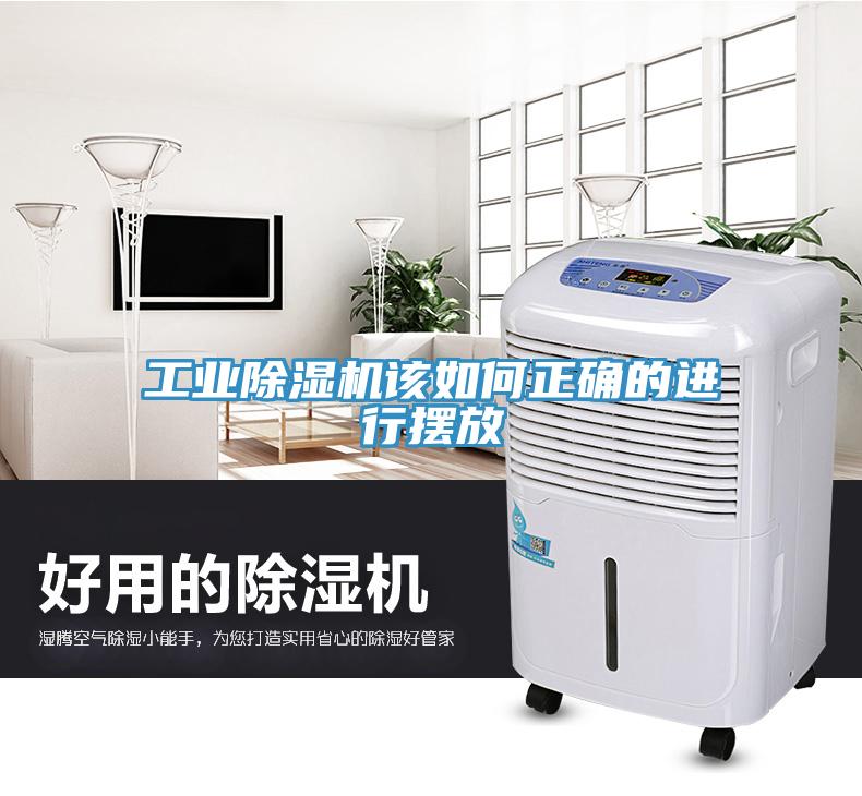 工業草莓视频污污污污該如何正確的進行擺放