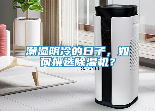 潮濕陰冷的日子，如何挑選草莓视频污污污污？