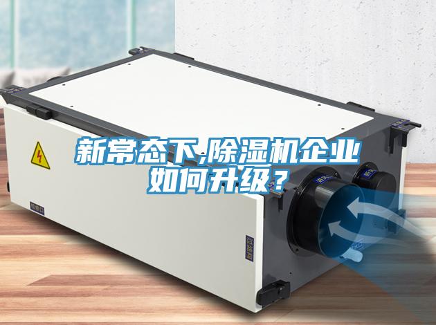 新常態下,草莓视频污污污污企業如何升級？