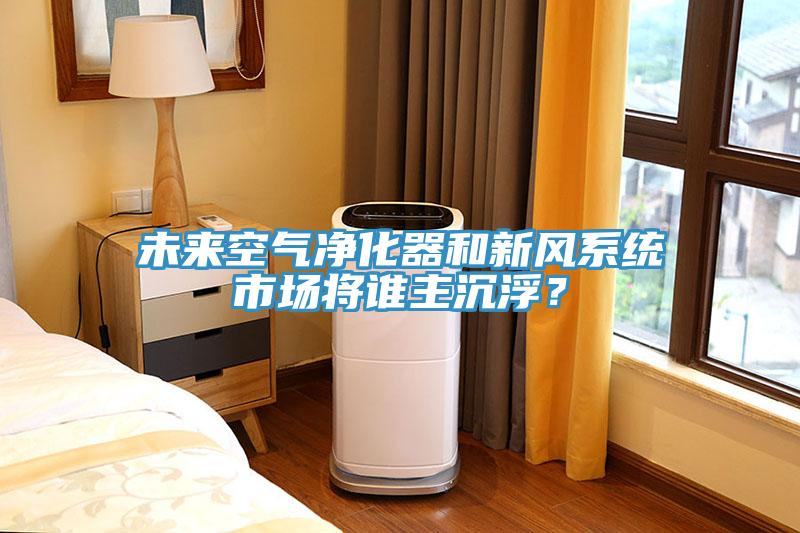 未來空氣淨化器和新風係統市場將誰主沉浮？