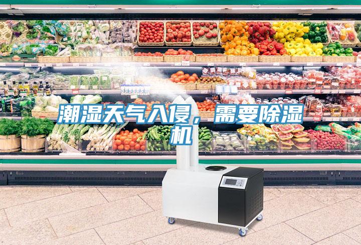 潮濕天氣入侵，需要草莓视频污污污污