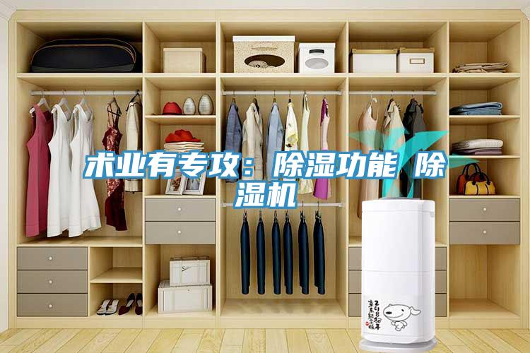 術業有專攻：除濕功能≠草莓视频污污污污