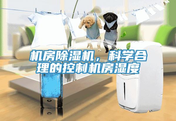 機房草莓视频污污污污，科學合理的控製機房濕度