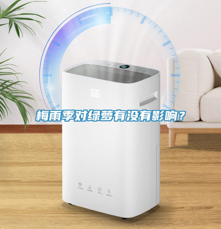 梅雨季對綠蘿有沒有影響？