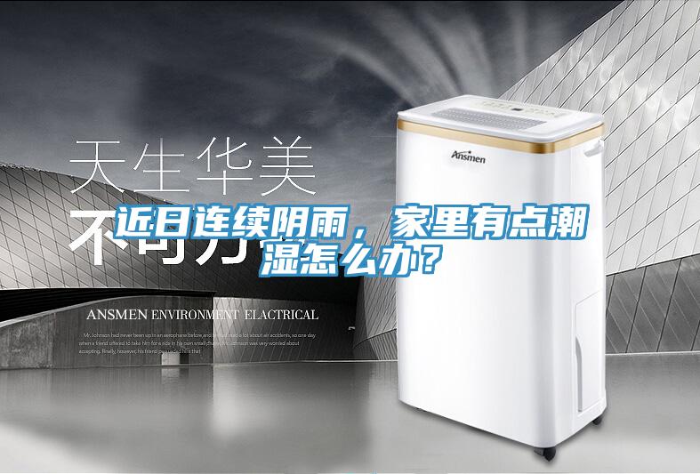 近日連續陰雨，家裏有點潮濕怎麽辦？