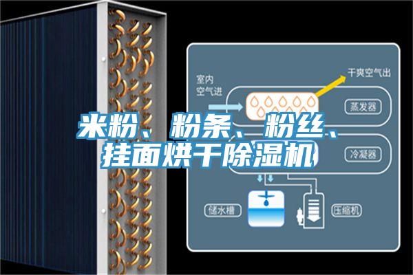 米粉、粉條、粉絲、掛麵烘幹草莓视频污污污污