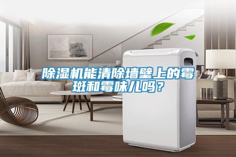 草莓视频污污污污能清除牆壁上的黴斑和黴味兒嗎？