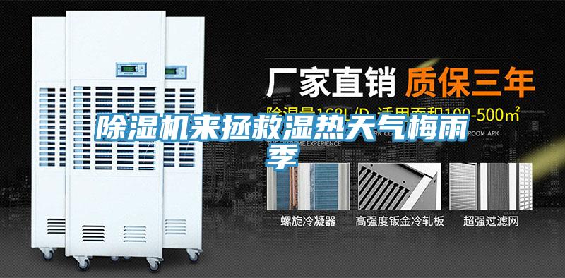 草莓视频污污污污來拯救濕熱天氣梅雨季