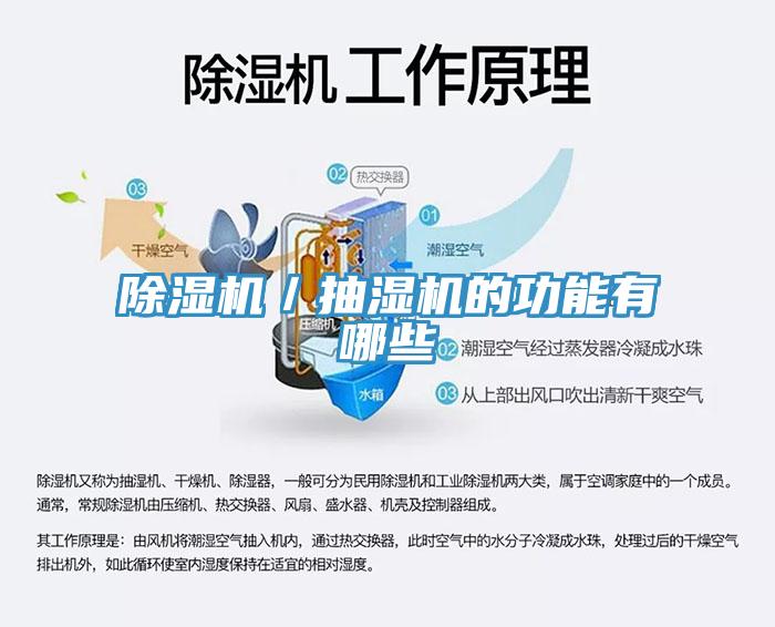 草莓视频污污污污／抽濕機的功能有哪些