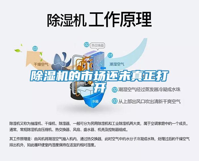草莓视频污污污污的市場還未真正打開