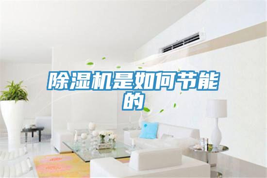 草莓视频污污污污是如何節能的