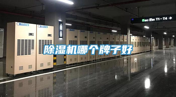 草莓视频污污污污哪個牌子好