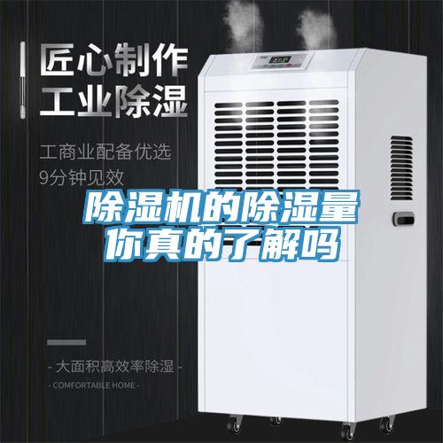 草莓视频污污污污的除濕量你真的了解嗎