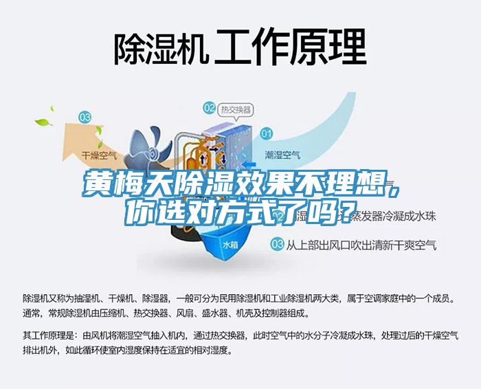 黃梅天除濕效果不理想，你選對方式了嗎？