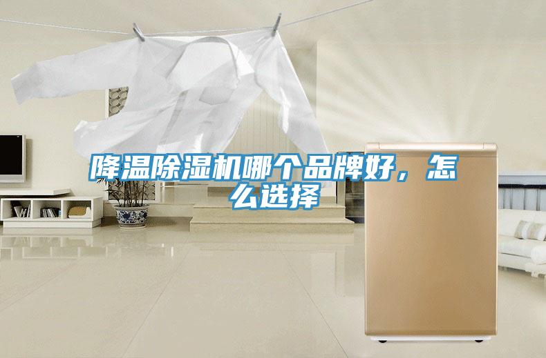 降溫草莓视频污污污污哪個品牌好，怎麽選擇