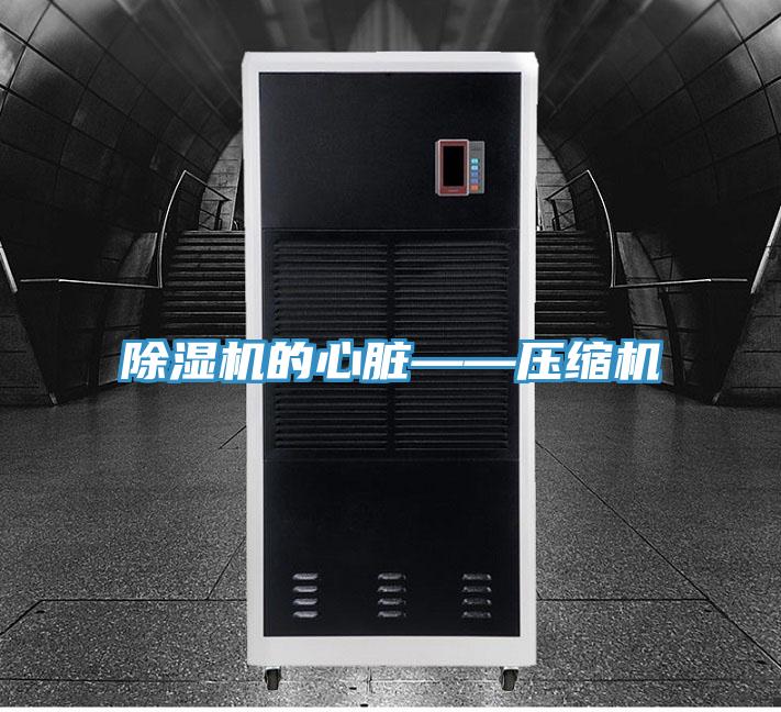 草莓视频污污污污的心髒——壓縮機