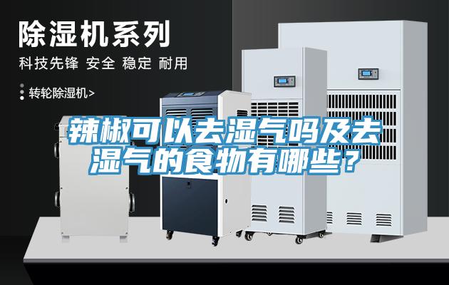 辣椒可以去濕氣嗎及去濕氣的食物有哪些？