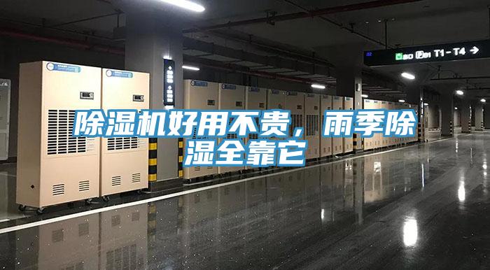 草莓视频污污污污好用不貴，雨季除濕全靠它