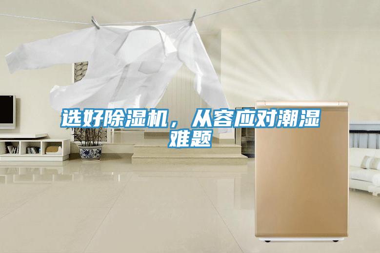 選好草莓视频污污污污，從容應對潮濕難題