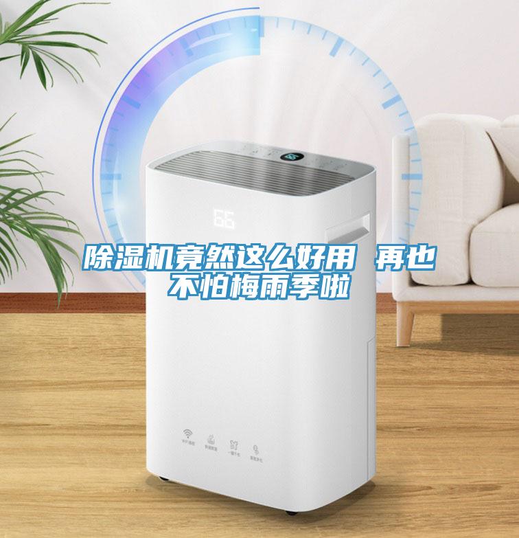 草莓视频污污污污竟然這麽好用 再也不怕梅雨季啦