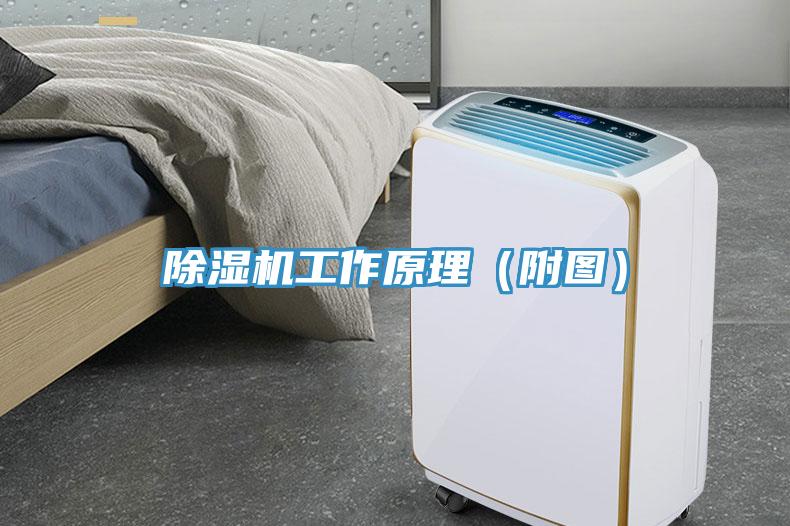 草莓视频污污污污工作原理（附圖）