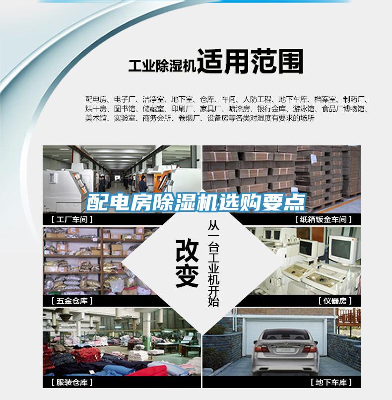 配電房草莓视频污污污污選購要點