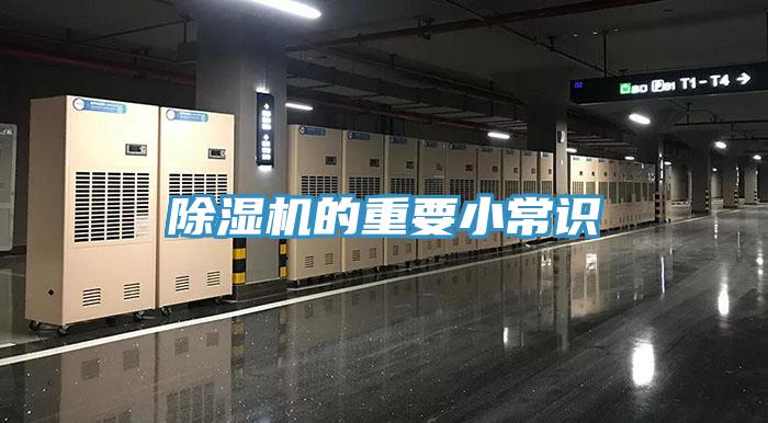 草莓视频污污污污的重要小常識