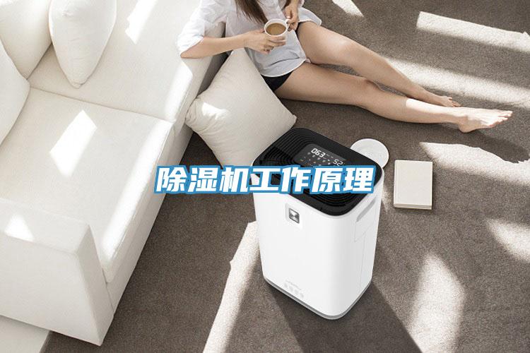 草莓视频污污污污工作原理