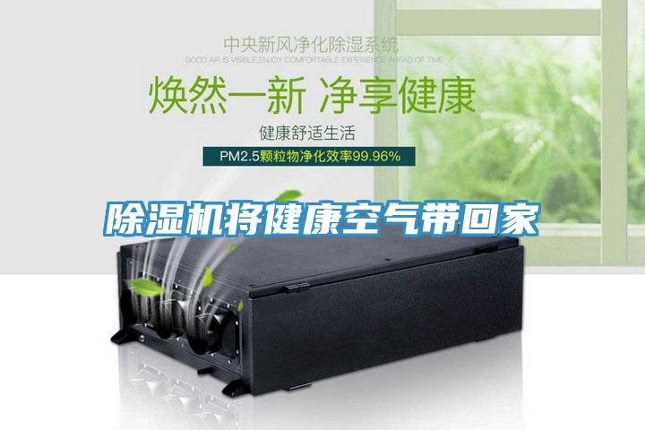 草莓视频污污污污將健康空氣帶回家