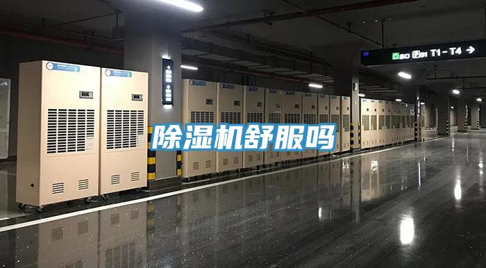 草莓视频污污污污舒服嗎