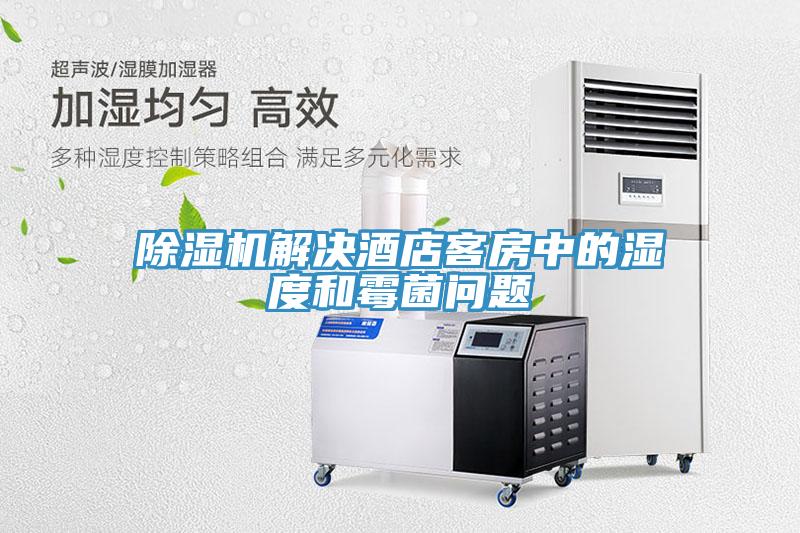 草莓视频污污污污解決酒店客房中的濕度和黴菌問題