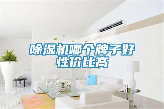草莓视频污污污污哪個牌子好性價比高