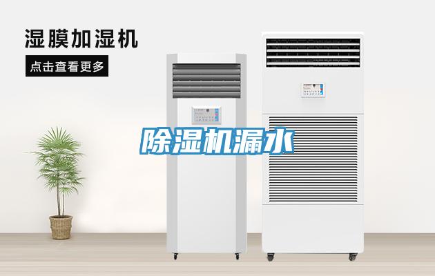 草莓视频污污污污漏水