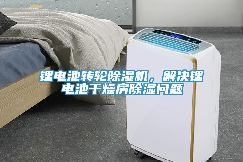 鋰電池轉輪草莓视频污污污污，解決鋰電池幹燥房除濕問題