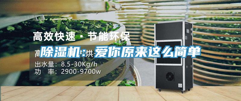 草莓视频污污污污：愛你原來這麽簡單