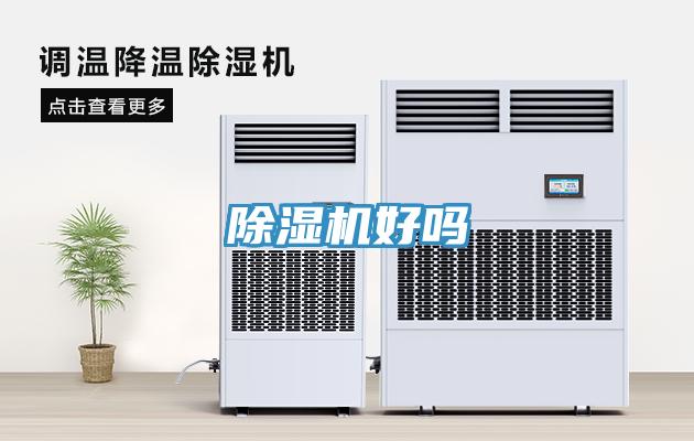 草莓视频污污污污好嗎