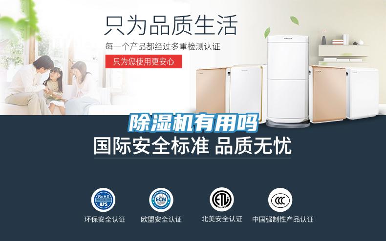 草莓视频污污污污有用嗎